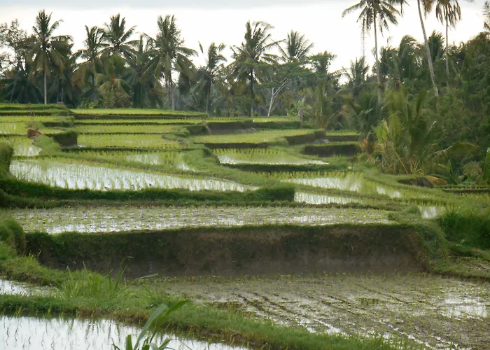 Alam Puisi Villa *